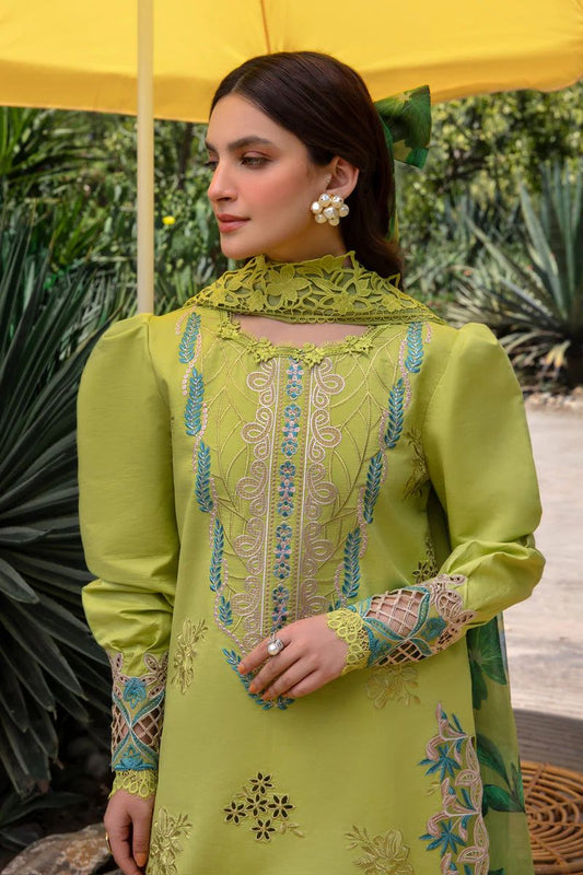 VELNORA Winter 2025 | Rang Rasia Inspired 3-Piece Pashmina Suit – Embroidered Shawl | Dhanak Collection